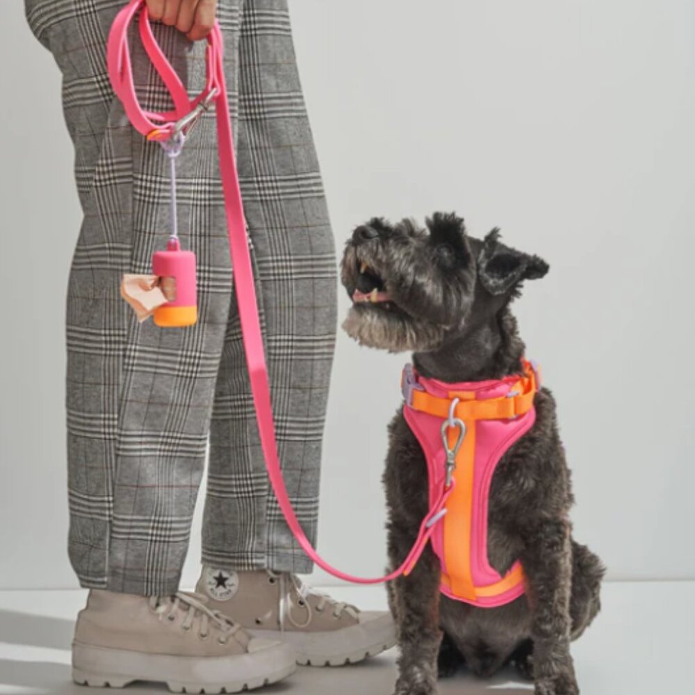 Wild One Dog Harness & Leash Pink/Orange Limitied Edition